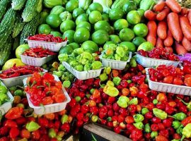 Agro Processing Sector